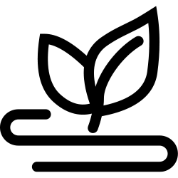 成长在乐橘